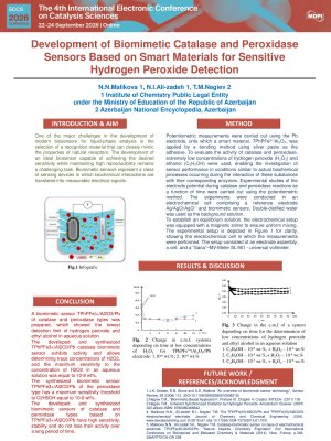 P1 Malikova N.N.pdf